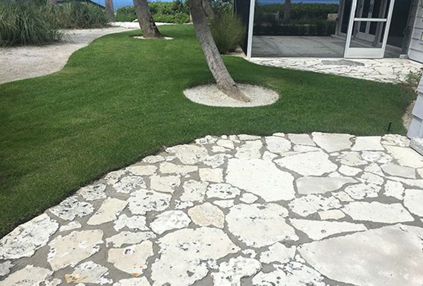 Native landscape design Casey Key Sarasota