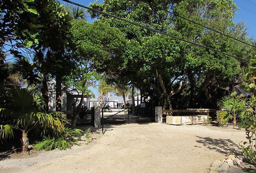 Paver walkway and planting Sarasota