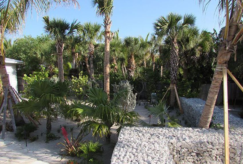 Landscape and hardscape project