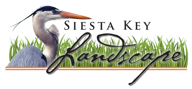 Siesta Key Landscape